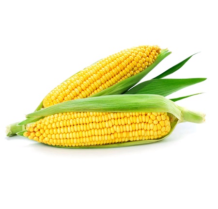 Кукуруза св. початок